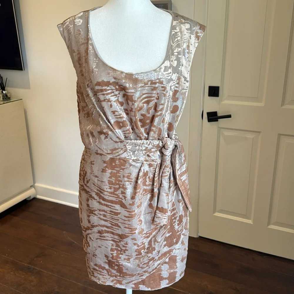 Cynthia Steffe - Josie Burnout Blush & Champagne Gold Metallic Dress - Size: 2 - Picture 2 of 9